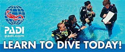 Learn to dive